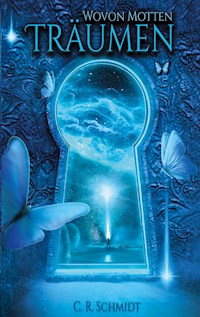 Wovon Motten träumen - C. R. Schmidt - ebook