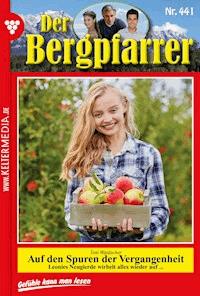 Auf den Spuren der Vergangenheit - Toni Waidacher - ebook