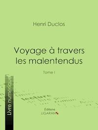 Voyage à travers les malentendus - Ligaran - ebook
