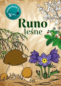 Runo leśne. Kolorowanka - Katarzyna Kopiec-Sekieta - książka