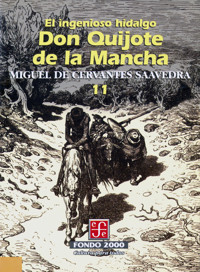 El ingenioso hidalgo don Quijote de la Mancha, 11 - Miguel de Cervantes Saavedra - ebook