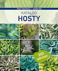 Katalog Hosty - Robert Gabarkiewicz, Jarosław Rak - książka