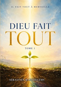 Dieu fait tout - Sébastien Barthelemy - ebook