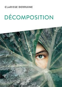 Décomposition - Clarisse Derruine - ebook