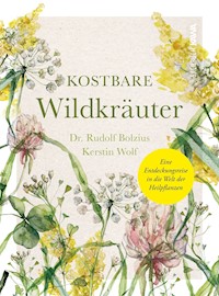 Kostbare Wildkräuter - Dr. Rudolf Bolzius - ebook