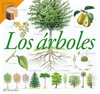 Los árboles - Maria Àngels Julivert - ebook