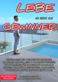 Lebe ab jetzt als Gewinner - Haldenwang - ebook