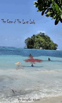 The case of the lost lady - Douglas Rhein - ebook