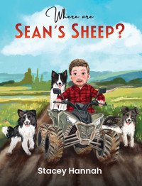 Where are Sean's Sheep? - Stacey Hannah - ebook