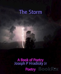 The Storm - Joseph P Hradisky Jr - ebook