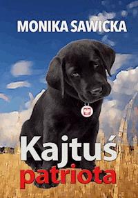 Kajtuś patriota - Sawicka Monika - ebook