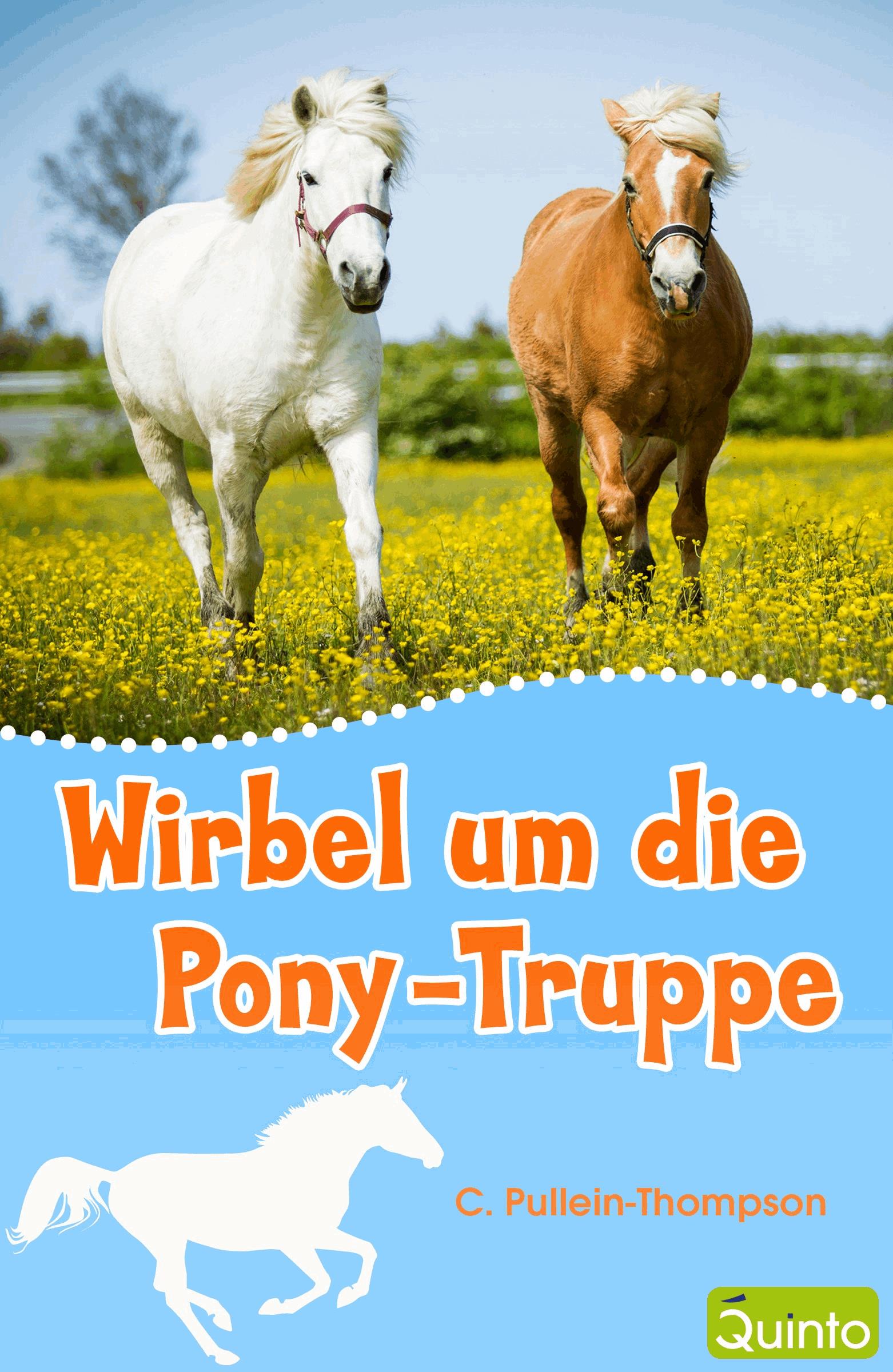 Wirbel um die Pony-Truppe