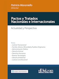 Pactos y Tratados Nacionales e Internacionales - Patricio Maraniello - ebook
