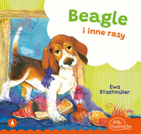 Beagle i inne rasy - Ewa Stadtmüller - książka