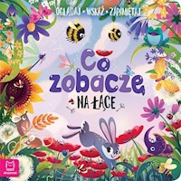 Co zobaczę na łące Oglądaj wskaż zapamiętaj - Kajdana Sylwia - książka