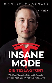 Insane Mode – Die Tesla-Story - McKenzie Hamish - ebook
