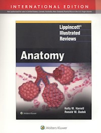 Lippincott Illustrated Reviews: Anatomy - Harrell Kelly M., Dudek Ronald W. - książka