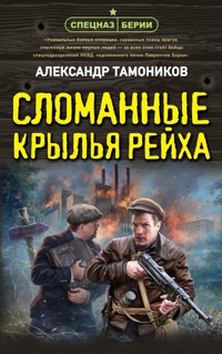 Сломанные крылья рейха - Александр Тамоников - ebook