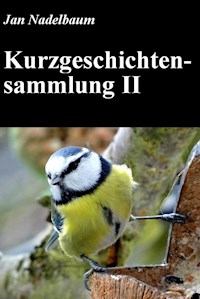 Kurzgeschichtensammlung II - Jan Nadelbaum - ebook