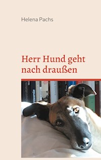 Herr Hund geht nach draußen - Helena Pachs - ebook