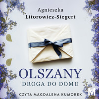 Droga do domu - Agnieszka Litorowicz-Siegert - ebook + audiobook + książka