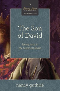 The Son of David (A 10-week Bible Study) - Guthrie Nancy - ebook