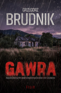 Gawra. Seri z Inspektor Katarzyna Łezka. Tom 2 - Grzegorz Brudnik - ebook + audiobook + książka