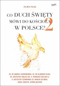 Co Duch Święty mówi do Kościoła w Polsce? Część 2 - Sylwia Palka - książka