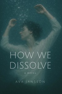 How We Dissolve - Ava Jansson - ebook