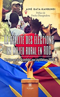La réalité des élections en milieu rural en RDC - Aimé Gata-Kambundi - ebook