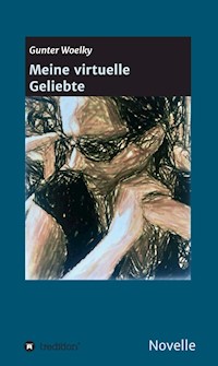 Meine virtuelle Geliebte - Gunter Woelky - ebook