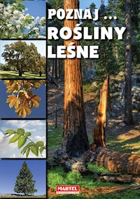 Poznaj Rośliny leśne -  - książka