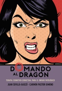 Domando al dragón - Juan Sevillá Gascó - ebook
