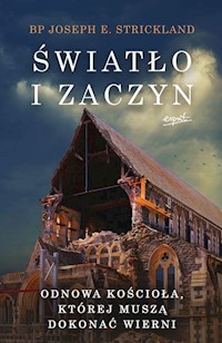 Światło i zaczyn - Strickland Joseph - książka