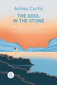 The Soul in the Stone - Ashley Curtis - ebook