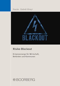 Risiko Blackout - Florian Haacke - ebook