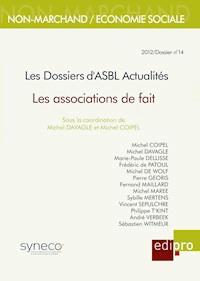 Les associations de faits - Collectif - ebook
