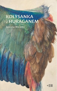 Kołysanka z huraganem - Wicenty Justyna - ebook + książka
