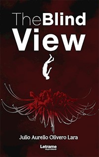 The blind view - Julio Aurelio Olivero Lara - ebook