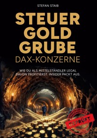 Steuergoldgrube DAX-Konzerne - Stefan Staib - ebook