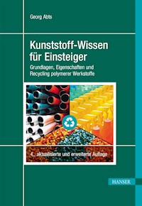 Kunststoff-Wissen für Einsteiger - Georg Abts - ebook