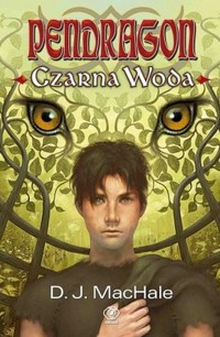 Czarna Woda - D.J. MacHale - ebook