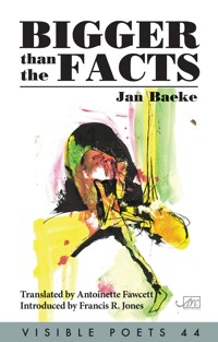 Bigger than the Facts - Jan Baeke - ebook