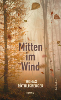 Mitten im Wind - Röthlisberger Thomas - ebook