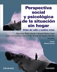 Perspectiva social y psicológica de la situación sin hogar - María José Rubio-Martín - ebook