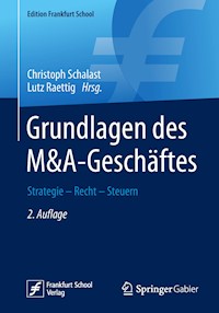 Grundlagen des M&A-Geschäftes -  - ebook