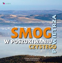 Smog W poszukiwaniu czystego powietrza - Nejranowska Sandra, Michewicz Łukasz - książka