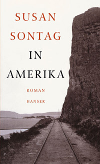 In Amerika - Sontag Susan - ebook