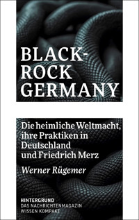BlackRock Germany - Werner Rügemer - ebook
