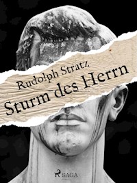 Sturm des Herrn - Rudolf Stratz - ebook